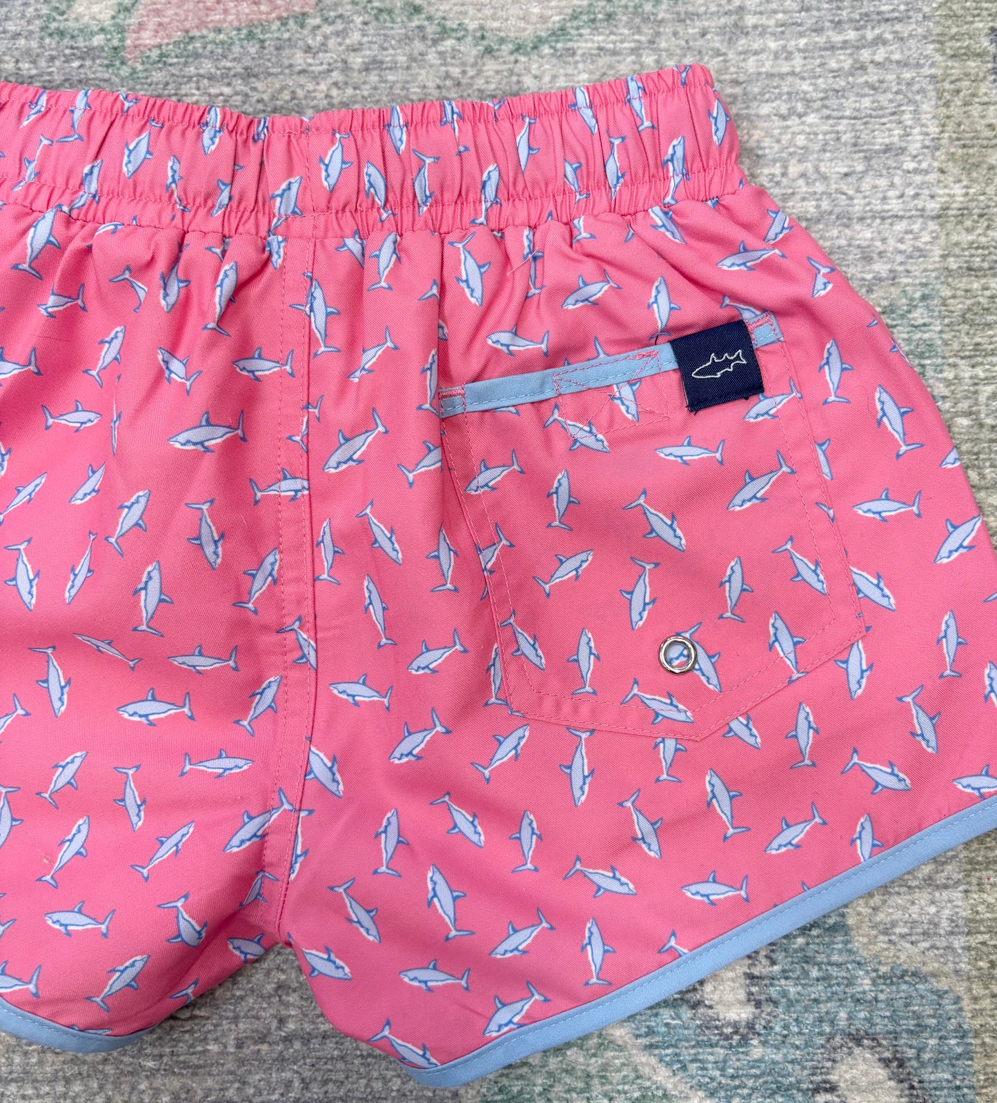 Shark Banded Boardies