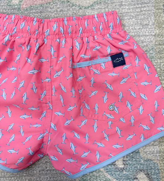 Shark Banded Boardies
